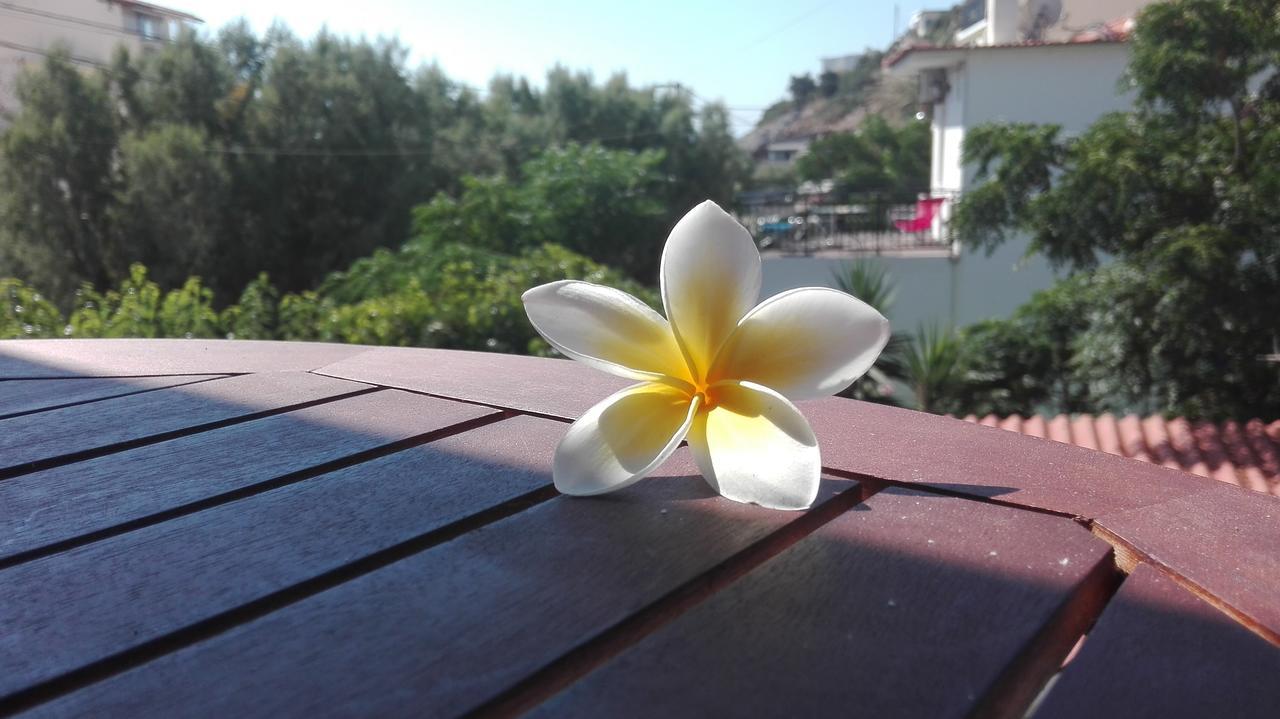 Plumeria Flowery Ágios Kírykos Kültér fotó